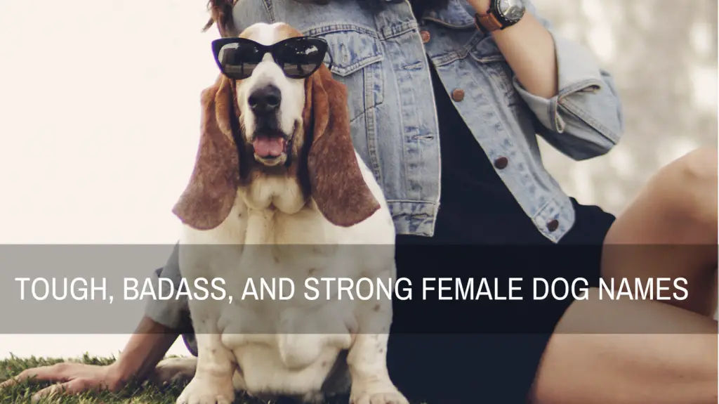 Tough Badass Names For Female Dogs