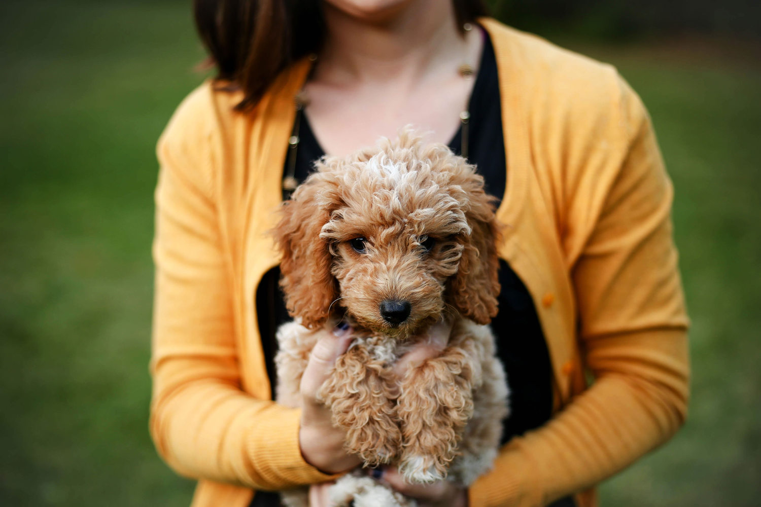 Ultimate List of the Top 400+ Female Dog Names - Cute ...