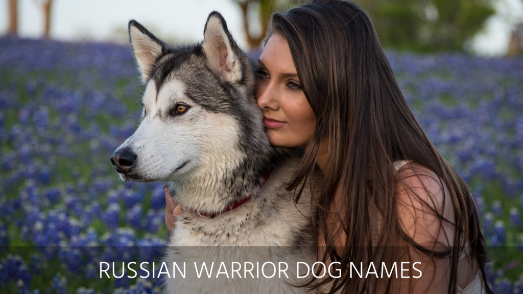 Ultimate List of the Top 350+ Russian Dog Names - Cute and Popular Puppy  Name Ideas