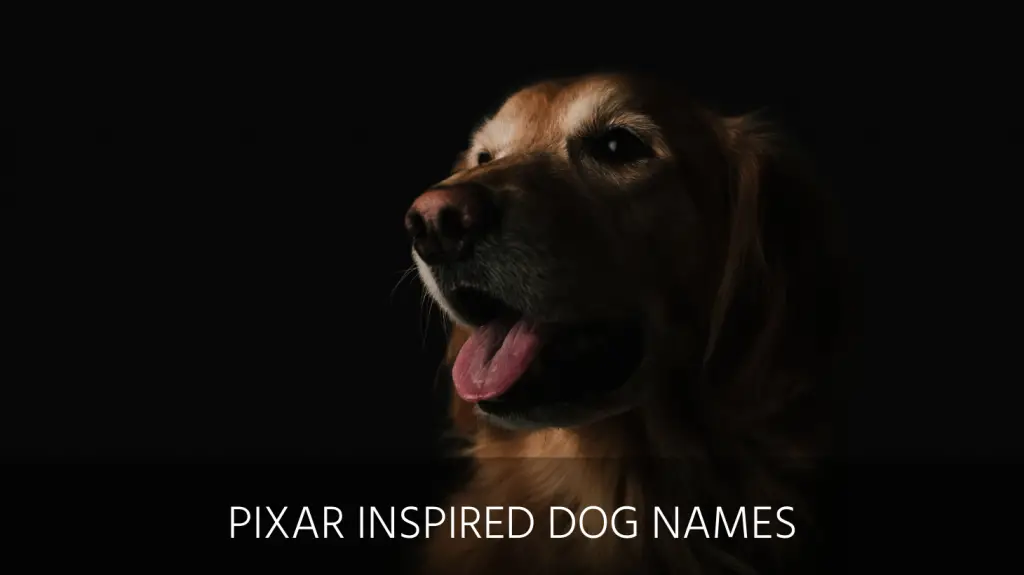 Ultimate List Of The Top 300 Disney Dog Names Pixar Marvel And Disney Puppy Name Ideas