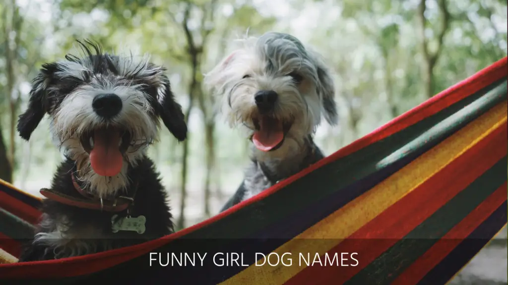 Ultimate List Of The Top 400+ Funny Dog Names – Hilarious, Witty, Silly ...