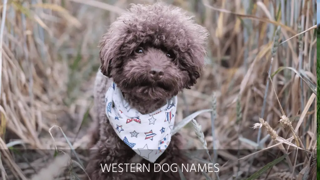 western dog names