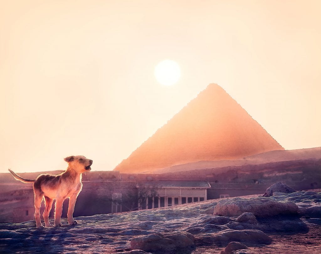 egyptian dog names