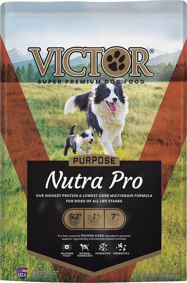 The Best Cheap Dog Food Reviews And Ratings Of The Best Wet And Dry Brands That Are Healthy