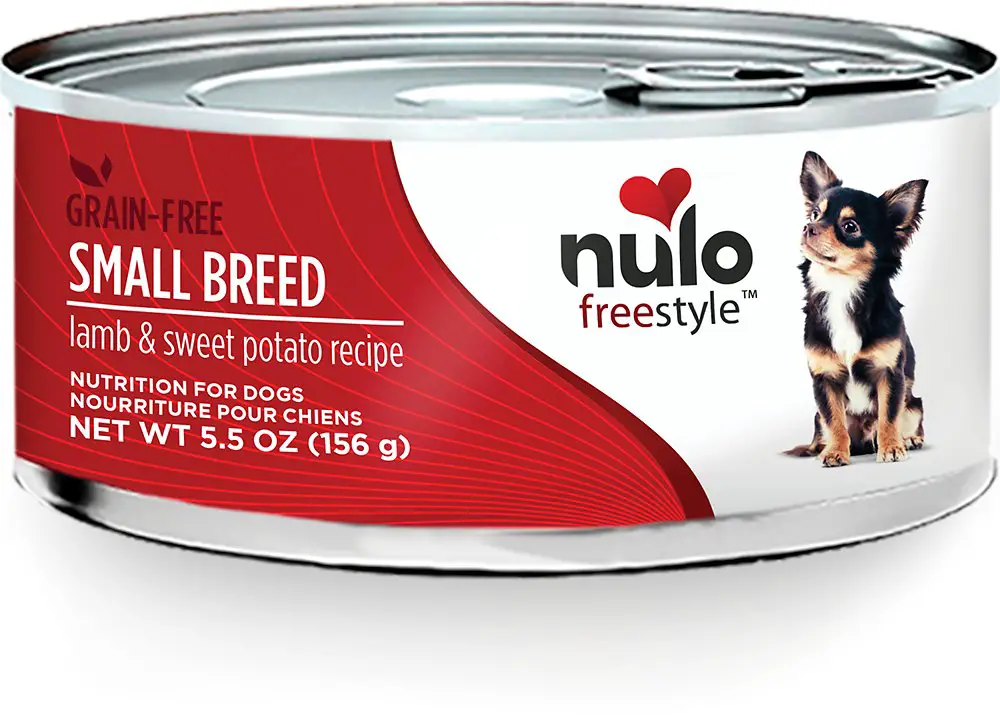 The Best Dog Food for Chihuahuas Reviews and Ratings of