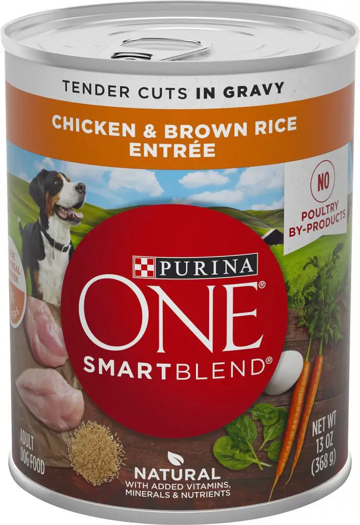 Low Sodium Dog Food: 10 Best Picks for a Healthy and Happy Pupper ...