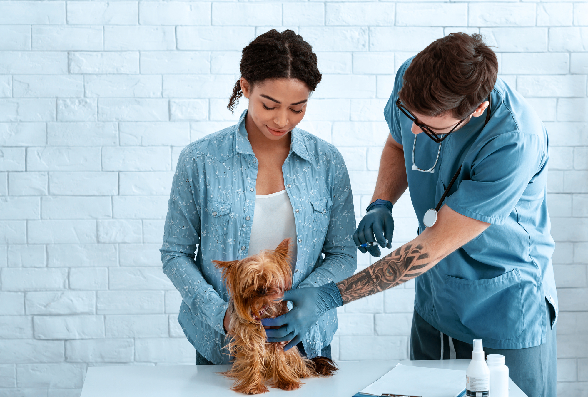 What Vaccines Does My Dog Really Need?