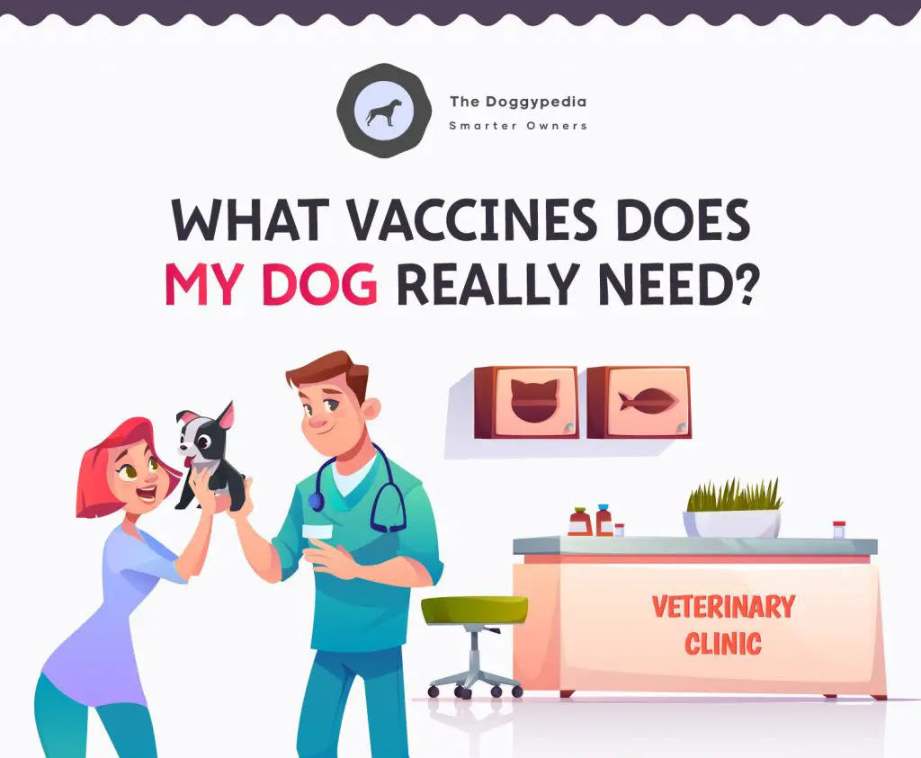 do dogs really need booster vaccinations