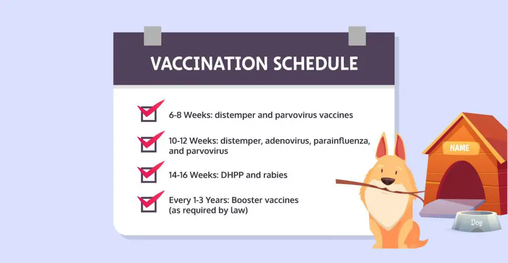 do dogs really need booster vaccinations