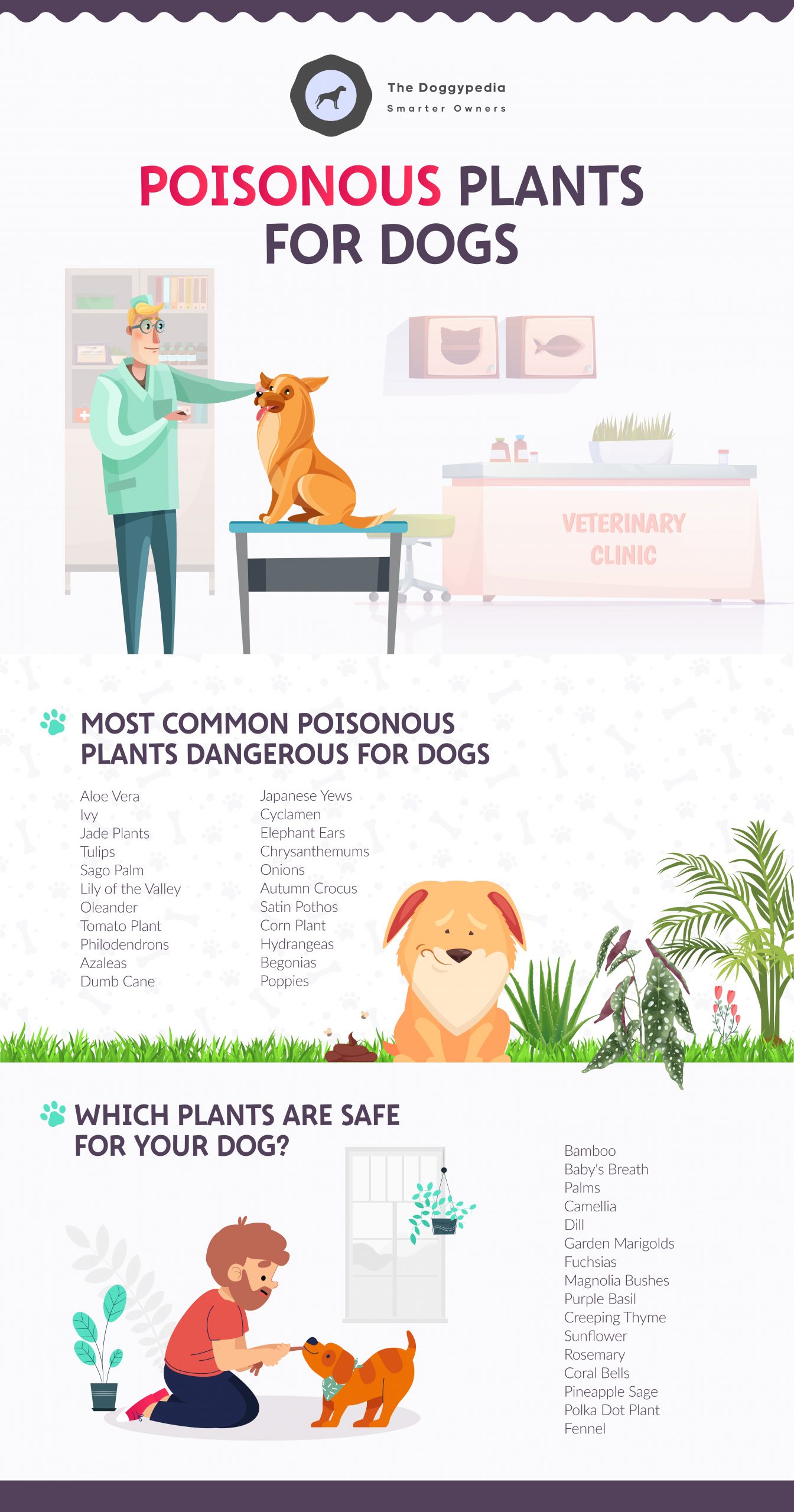 Poisonous Plants for Dogs: How to Protect Your Dog from Common Toxic Plants