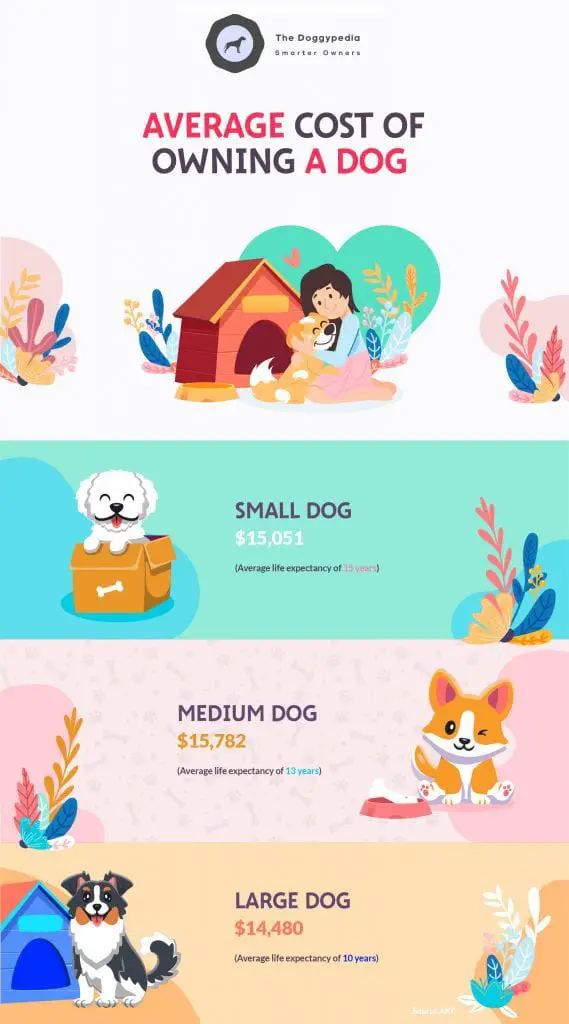 what is the monthly cost of owning a dog