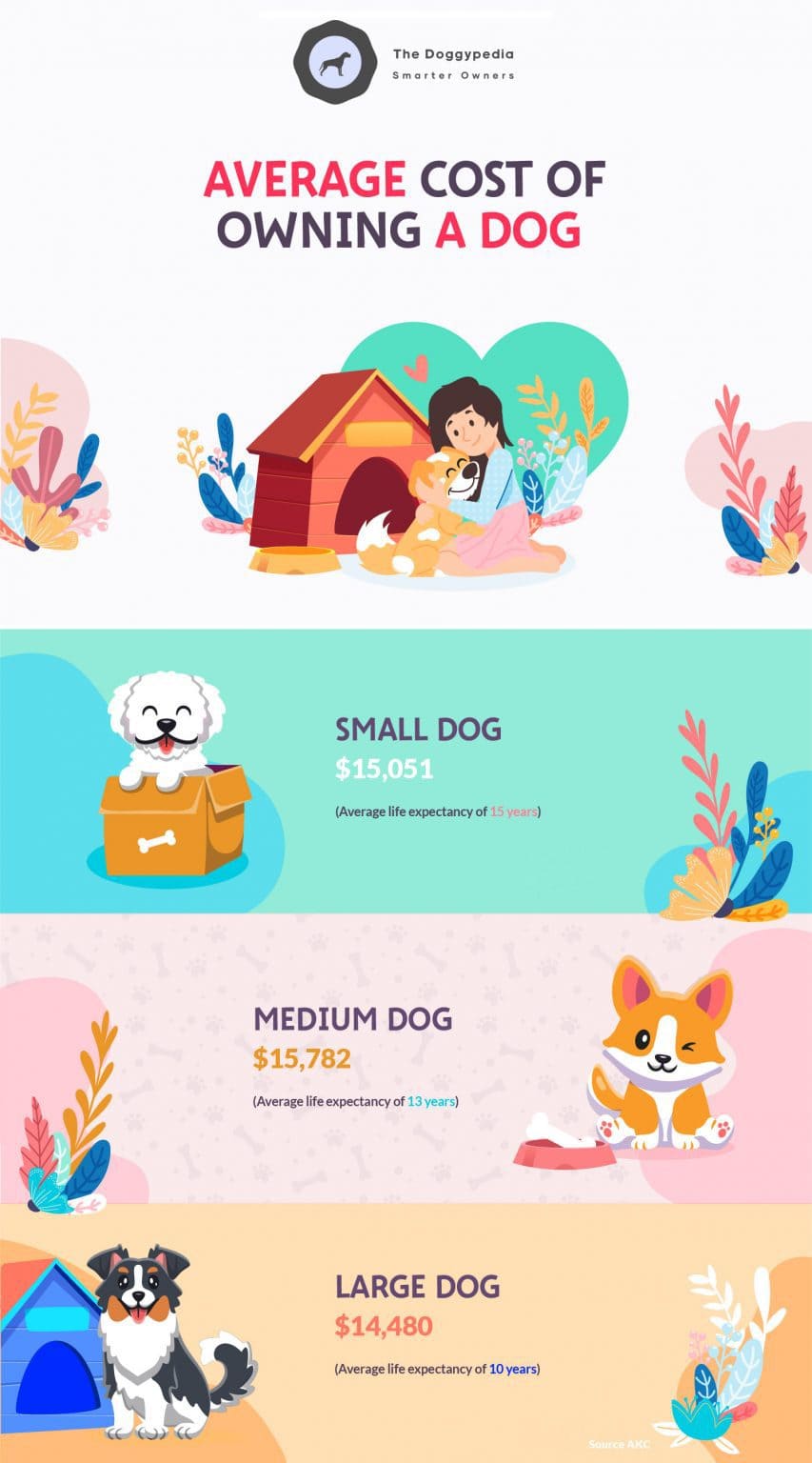 The Real Cost Of Owning A Dog In 2021 Can You Afford It 